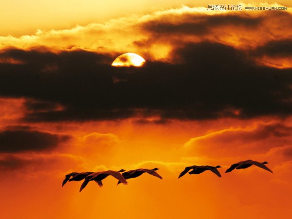 日落構(gòu)圖之不同角度拍出美麗夕景