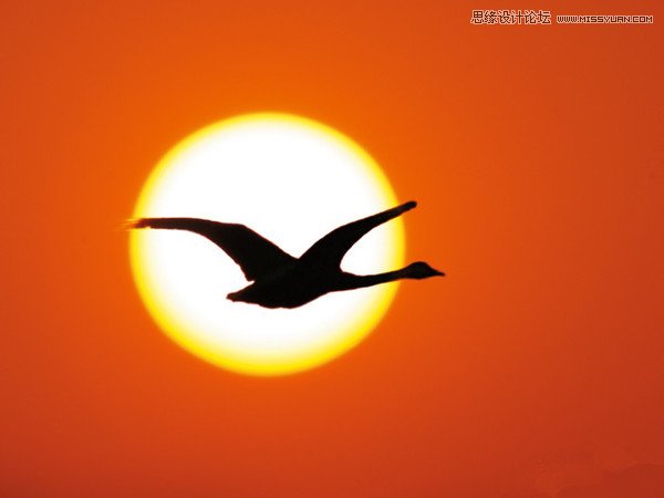 日落構(gòu)圖之不同角度拍出美麗夕景