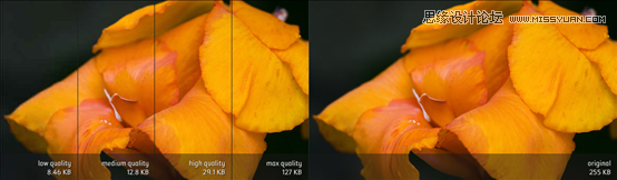 Photoshop將圖片存儲(chǔ)為WEB所用格式技巧