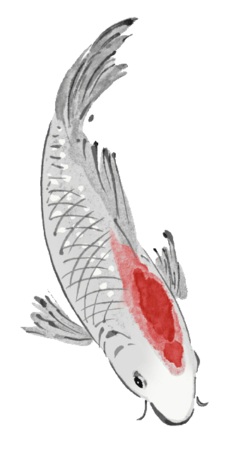 PhotoshopO(sh)ӋΨĹL̳