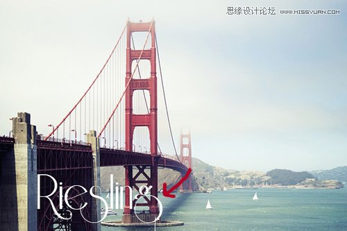 Photoshop̎������׌���������w�����r��