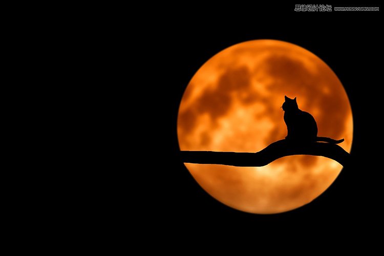 詳細解析攝影師的10個經驗之談與心得