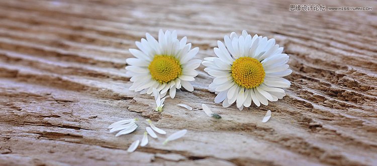 詳細解析攝影師的10個經驗之談與心得