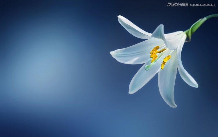 詳細解析攝影師的10個經驗之談與心得