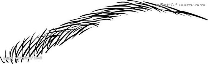 PhotoshopԔ�����������о����L���^��