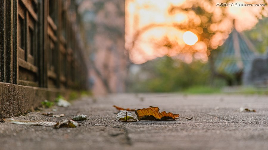 淺談新手攝影師如何生活取景和構(gòu)圖