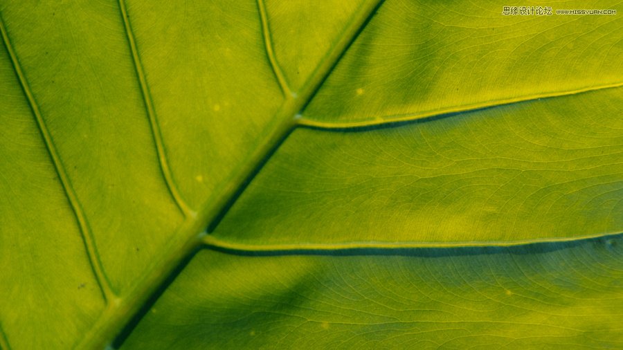 淺談新手攝影師如何生活取景和構(gòu)圖