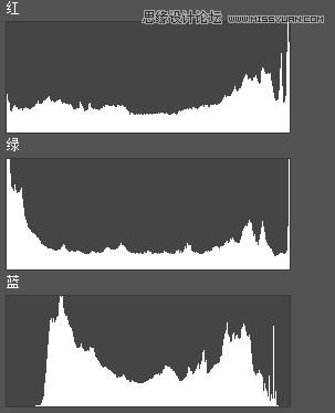 Photoshop通過實例解析通道直方圖的使用技巧