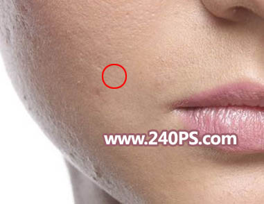 Photoshop�����|�нo����Ф����ھ���ĥƤ