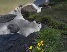 Photoshopͨ�^�ϳɌ������x����ϲ�����ʹ��