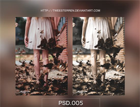 Ƭ(f)őfˇg(sh)ЧPSDD