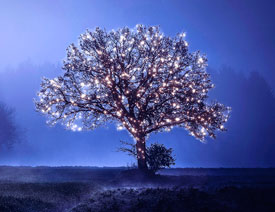 PhotoshopǹbʥQ(sh)Ӣ