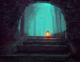 Photoshopϳɉ(mng)L(fng)ɭֈ(chng)Ӣ