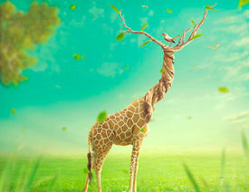 PhotoshopϳL(zhng)(chung)(sh)L(zhng)i¹Ӣ