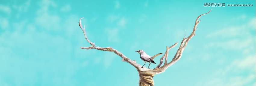 Photoshop合成長著創意大樹的長頸鹿【英】