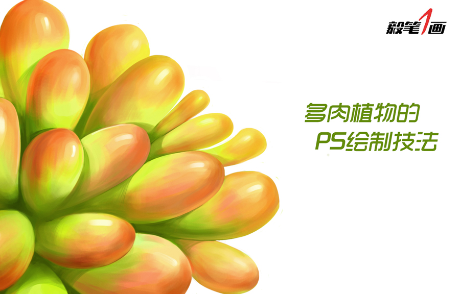 Photoshop詳細解析多肉植物的繪制過程