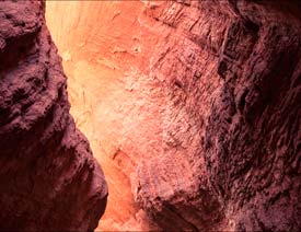 Photoshop�{��ACRɫ�{���x�{����ɫ��