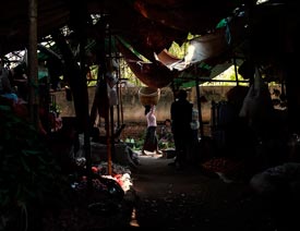 PhotoshopԔ�����܌����ں��ڵđ���