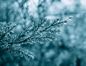 Photoshop{ΨL{ɫˇgЧ