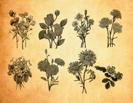 �Ꭷֲ���PS�Pˢ