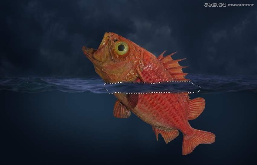 創意合成:用PS合成吞月的魚怪作品