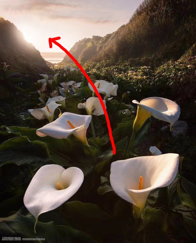 ���մ󷨣���PS��Q�zӰ������Ʒ�еĹ⾀