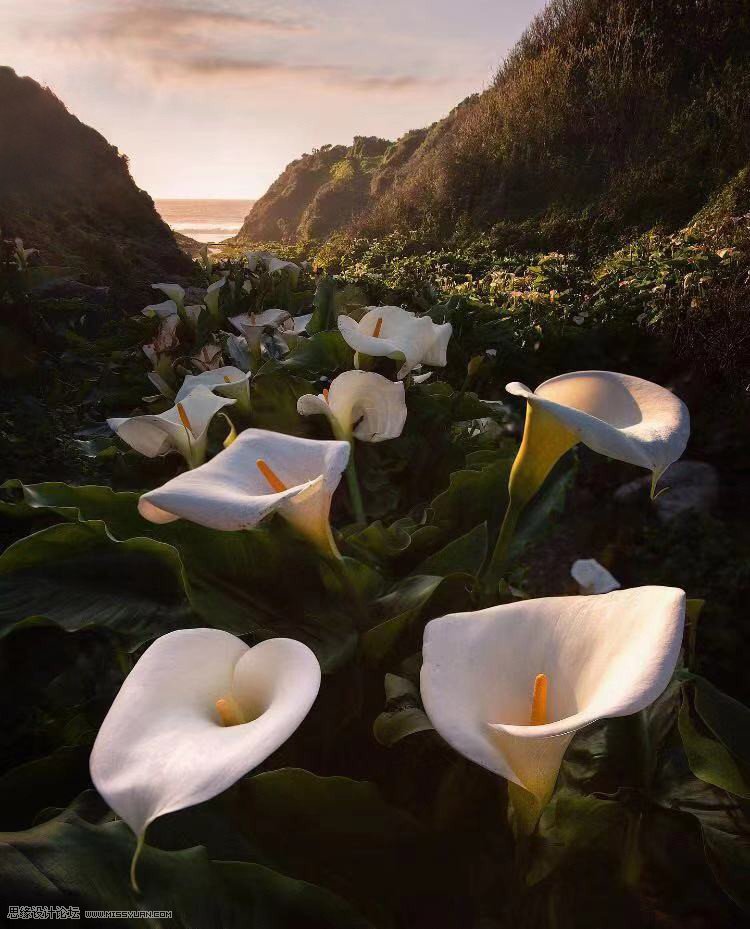 ���մ󷨣���PS��Q�zӰ������Ʒ�еĹ⾀