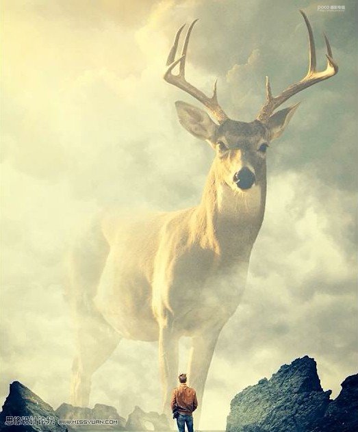 設(shè)計請教:如何用PS合成創(chuàng)意的作品