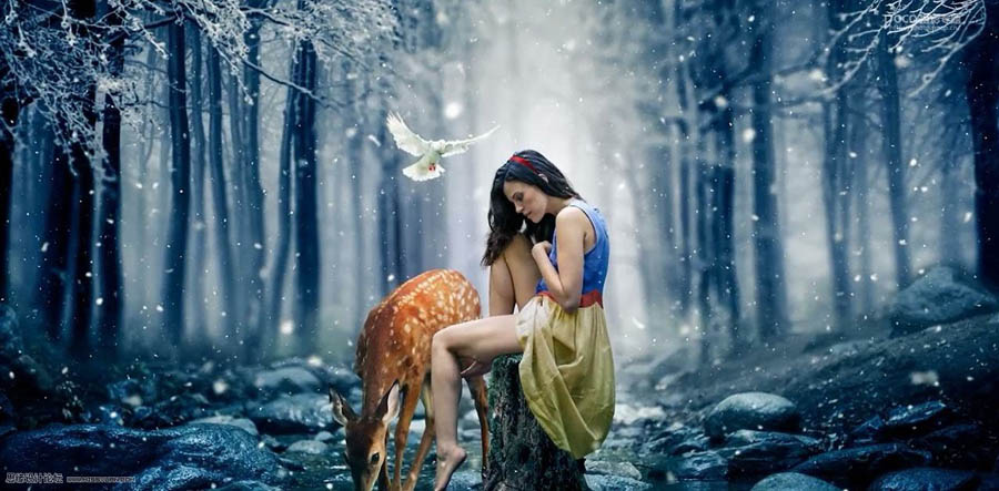 設(shè)計請教:如何用PS合成創(chuàng)意的作品