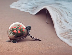 Photoshopϳɺ߅ͱĺˈ